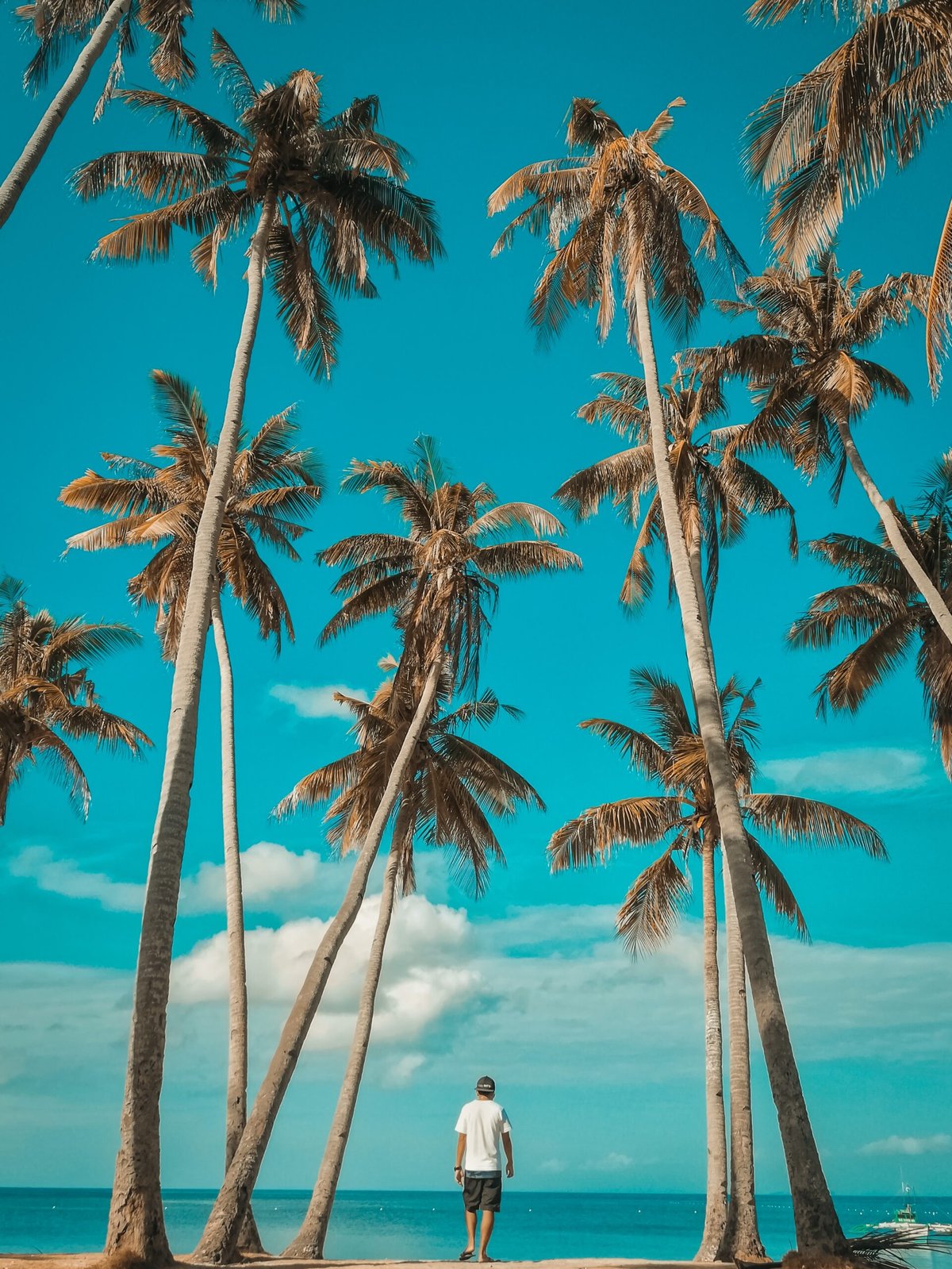 Photograph courtesy<br />OF UNSPLASH /ildi bibo<br />SIQUIJOR is an island known for its unique healing practices.