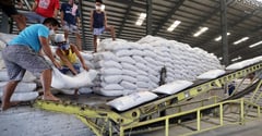 NFA launches P10-B program to boost rice inventory, productivity