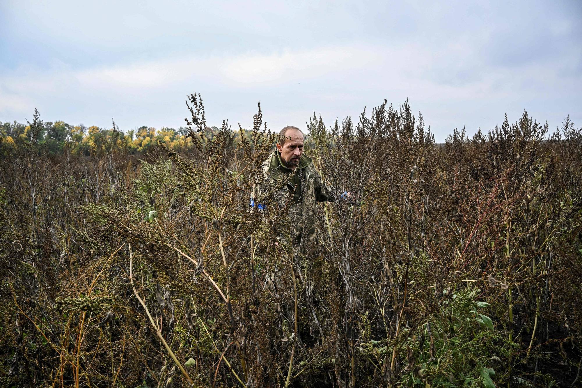 Ukraine bomb squads rush demining