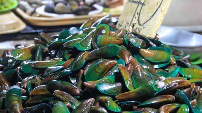 Red tide invades Bais Bay anew