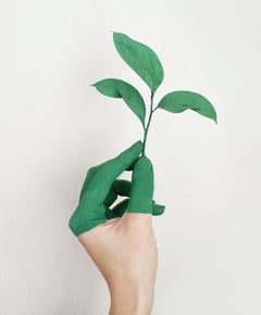 ‘The Green Reset’ promotes sustainable skincare products