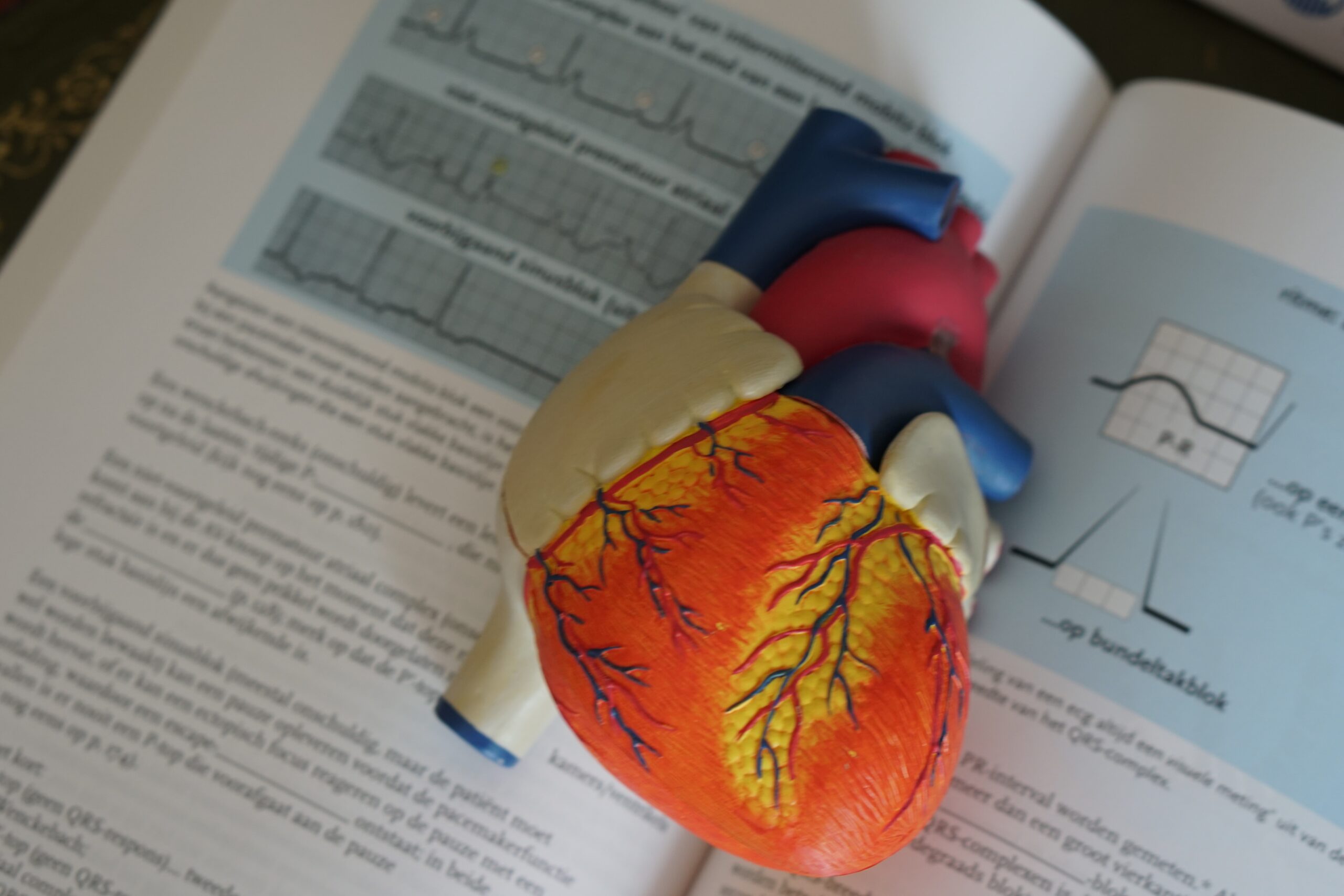 Cardiovascular risks increase during menopause, says PHA