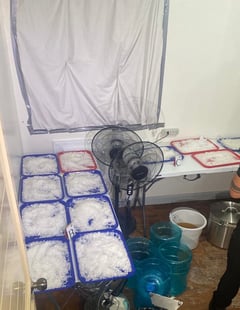 P149M worth of shabu seized in Ayala-Alabang houses