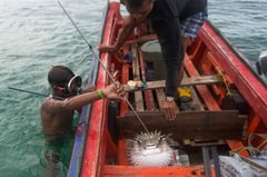 ZamPen nears blast fishing eradication