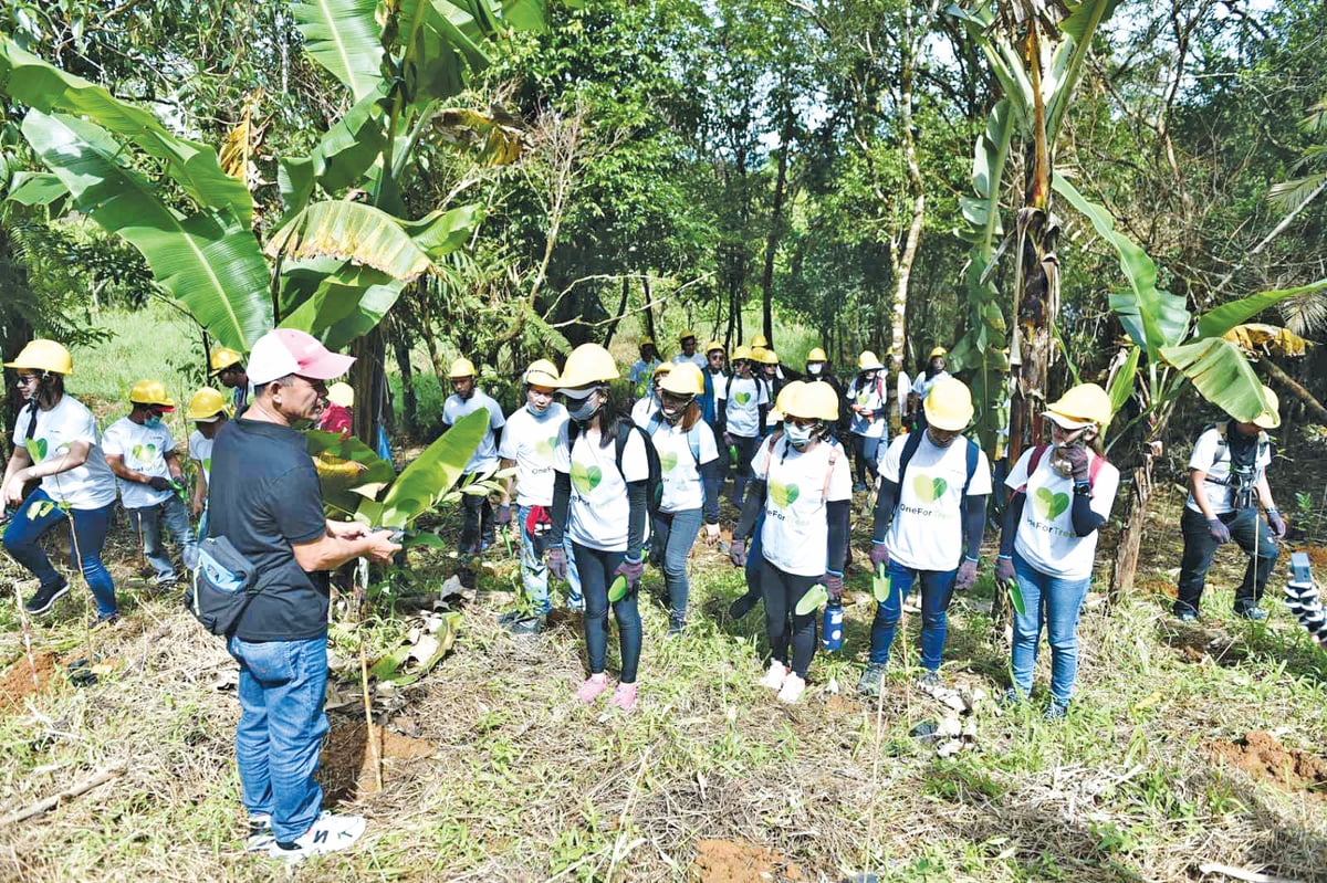 One Meralco Foundation Brings One For Trees to the Sierra Madre Mountains
