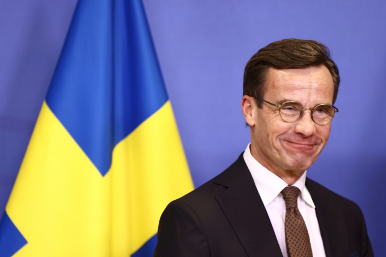 Swedish PM seeks Turkey backing for NATO membership