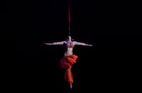 The Super American Circus comes to town