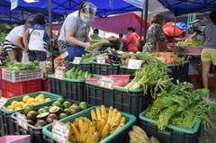 DA bets on young farmers to reboot Philippine agribusiness