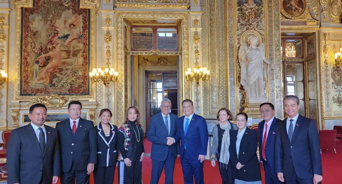 Philippine senators led by Senate President Juan Miguel Zubiri met with French Senator Daniel Gremillet, member of the Committee for Economic Affairs and President of the Study Group on Energy (fifth from left) and Gisele Jourda, President-delegate for the Philippines (fourth from right), during their official visit to the French Parliament.