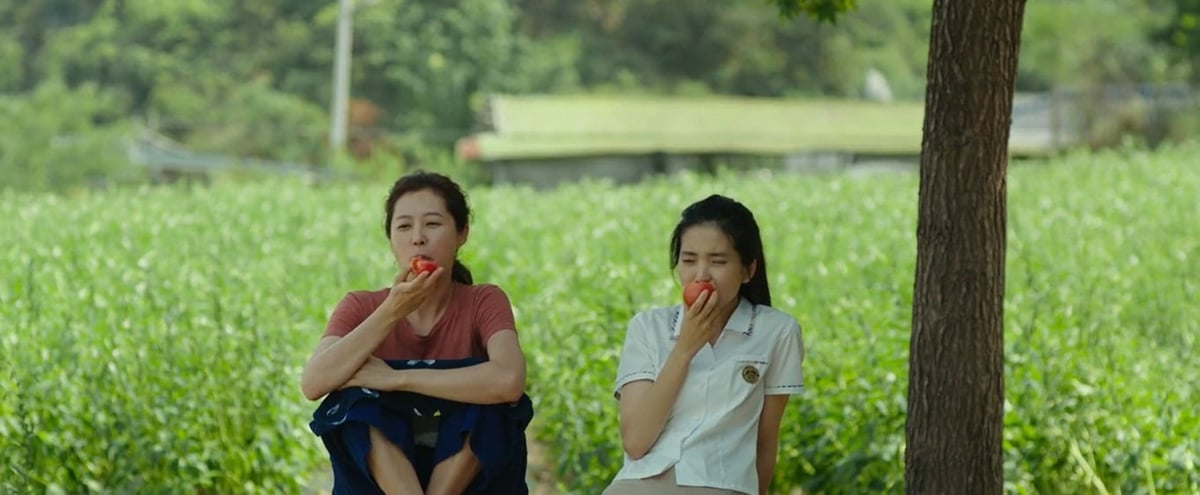 'LITTLE Forest' (2018) follows the journey of a young woman who returns to her hometown in the countryside. This movie is slated for 16 November.