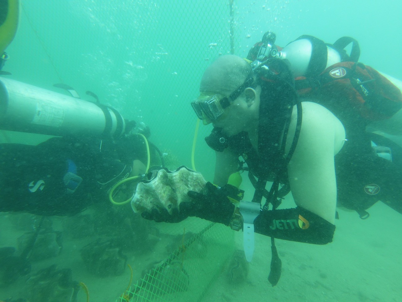 Jetti Petroleum dives into taclobo conservation with Bohol’s local community