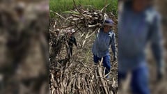 Sugar farmers group wants P15-20 per kilo hike