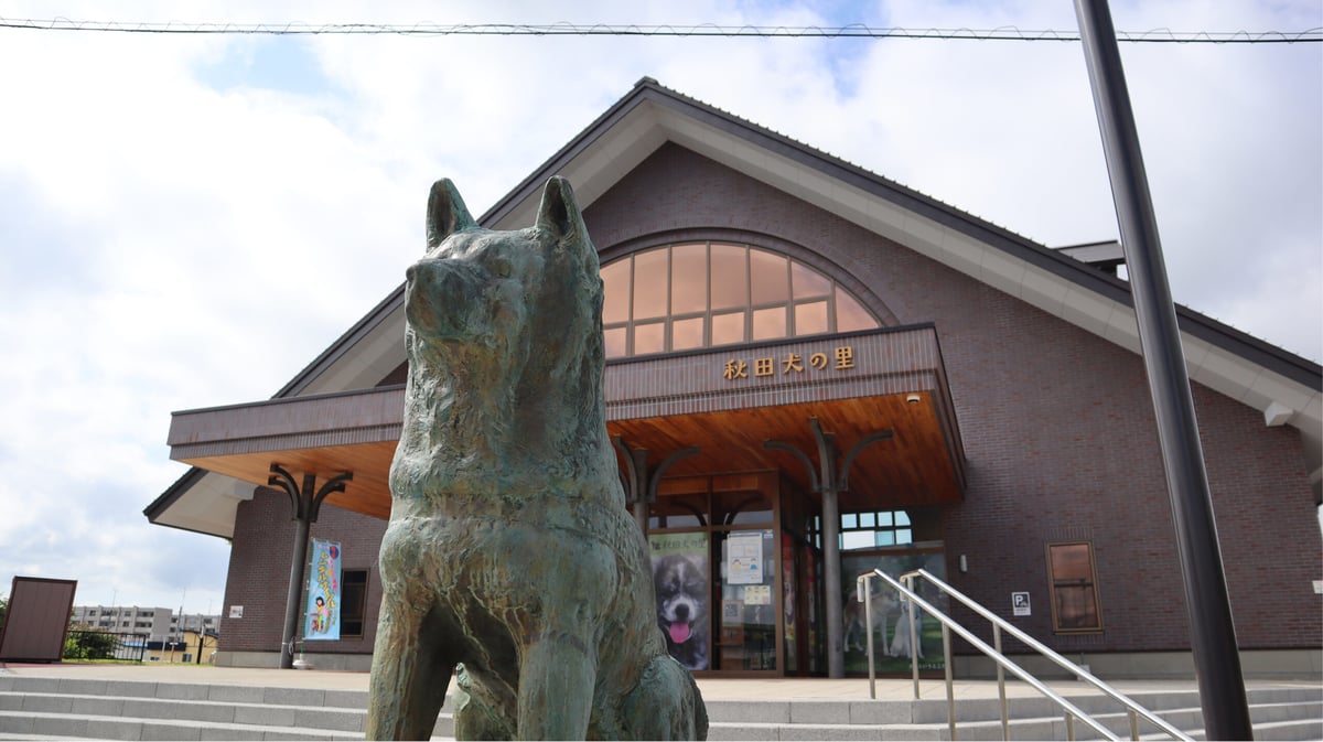 <strong>PHOTOGRAPH COURTESY OF THE ODATE CITY OFFICE</strong><br />Hachikō, Japan's most loyal dog.