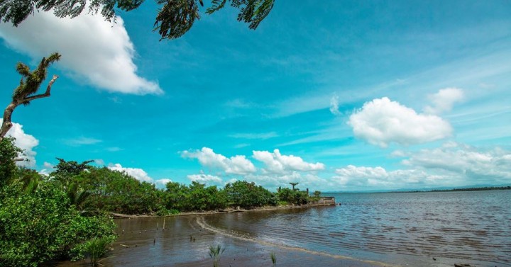 Cancabato Bay positive for red tide