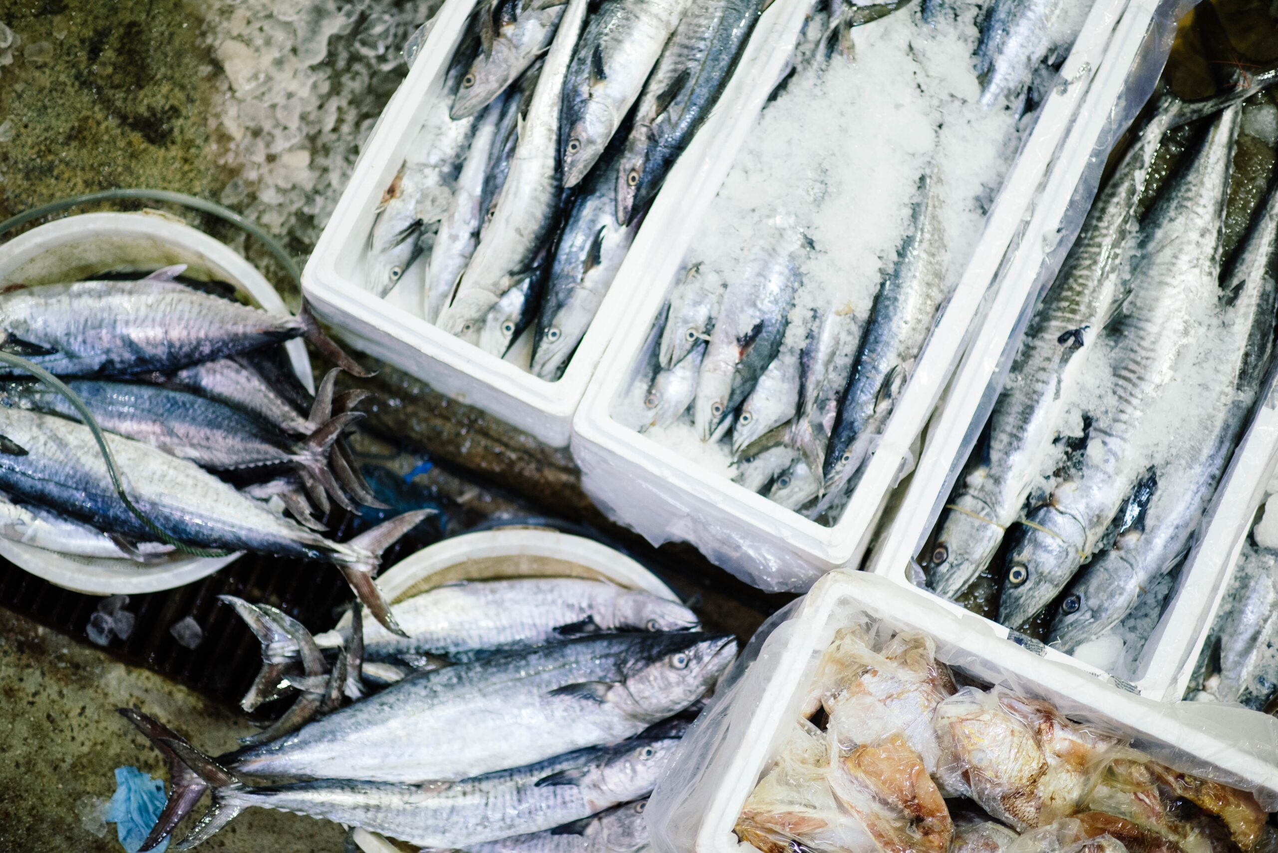 Phl to import 25,000 tons of fish in closed season
