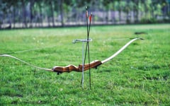 Arrow kills noisy Peruvian