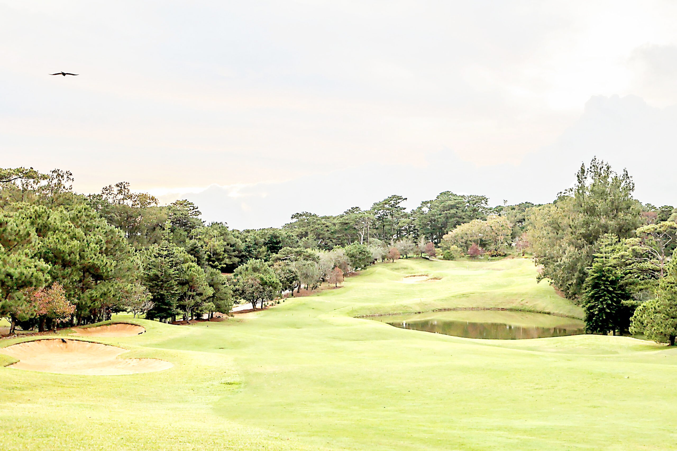 DENR to golf course operators: Stop watering courses using piped water