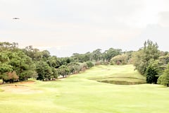 Pilot collapses, dies during PMA golf tournament in Baguio