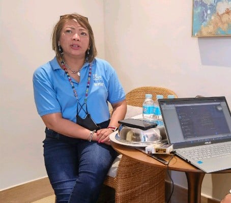 Boracay hotels near pre-pandemic revenue