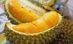 Phl exports first frozen durian products to China