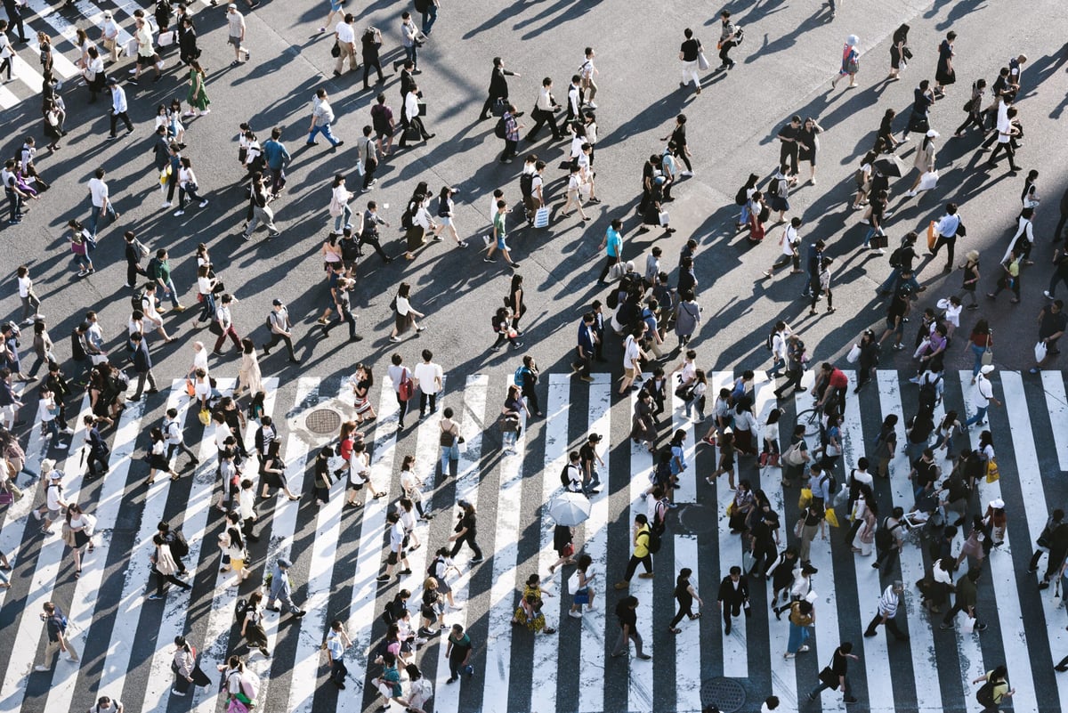 World population at 8 billion