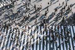World population at 8 billion