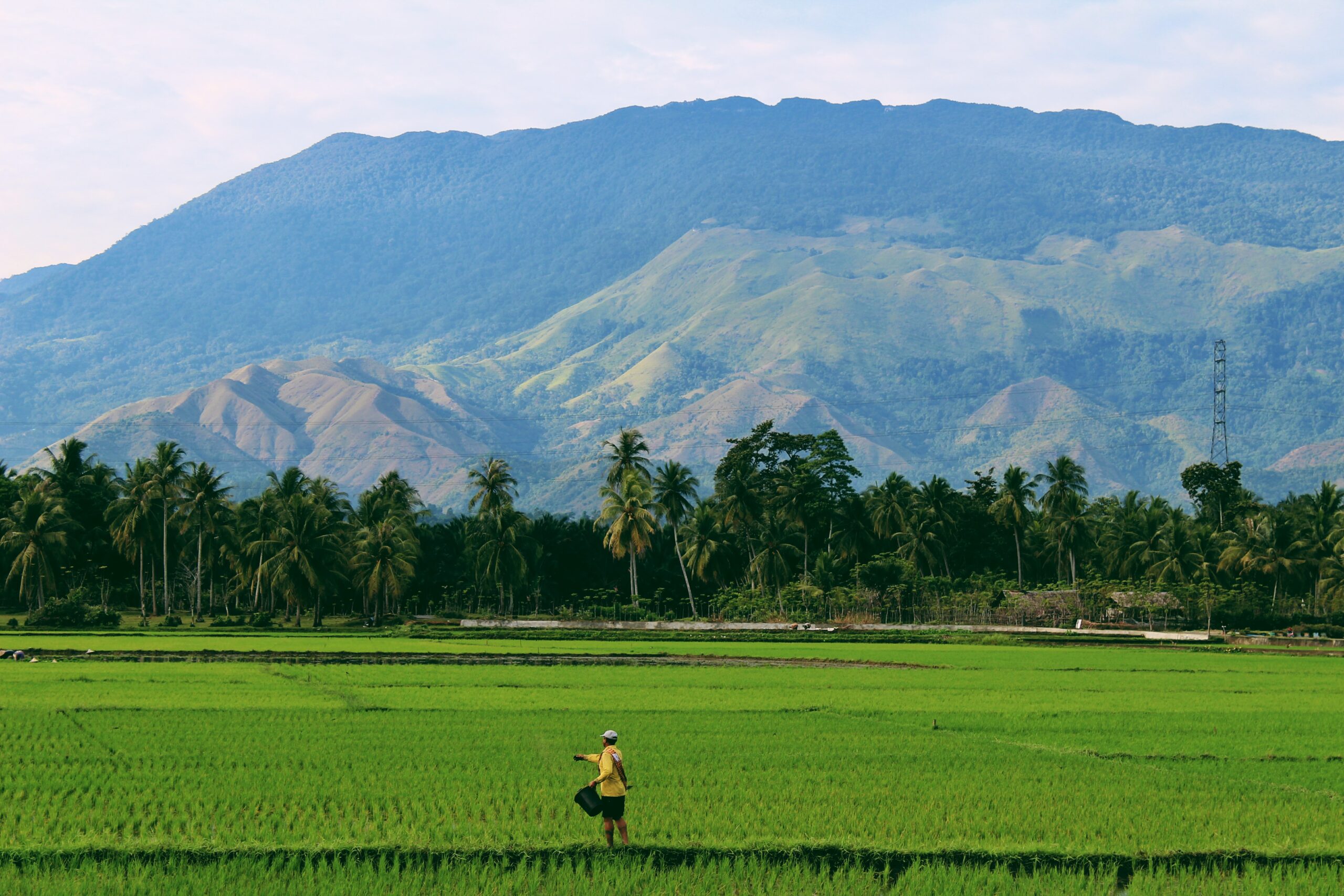 Researcher: Food security linked with transport, energy, health systems