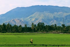 Researcher: Food security linked with transport, energy, health systems