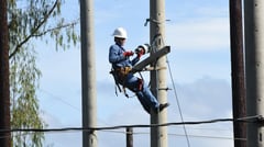 New Meralco franchise pushed