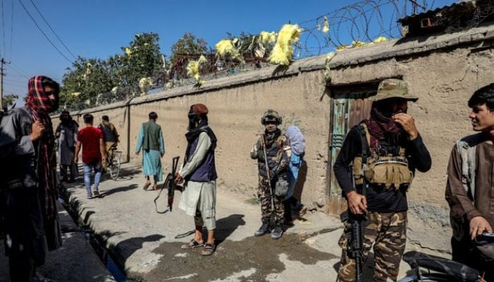 Afghanistan roadside blast kills seven