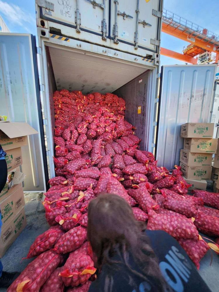 P20-M onions seized at Misamis port