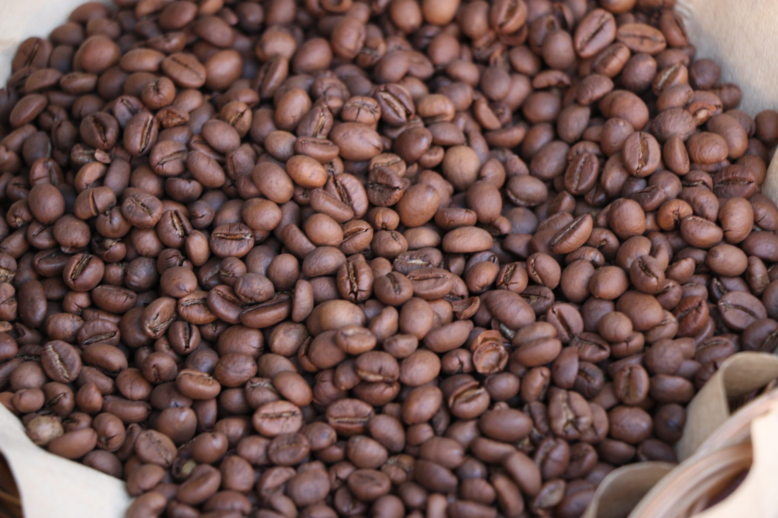 DA: Coffee output ‘low’ but demand high