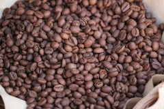 DNA finger printing also works for beans