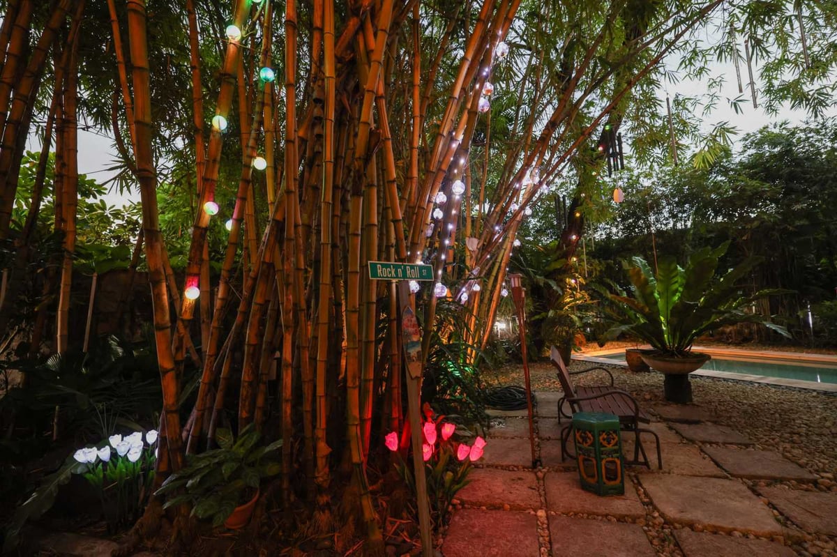 Subdued lighting for bamboo trees and artificial tulips by the Jacintos' poolside
