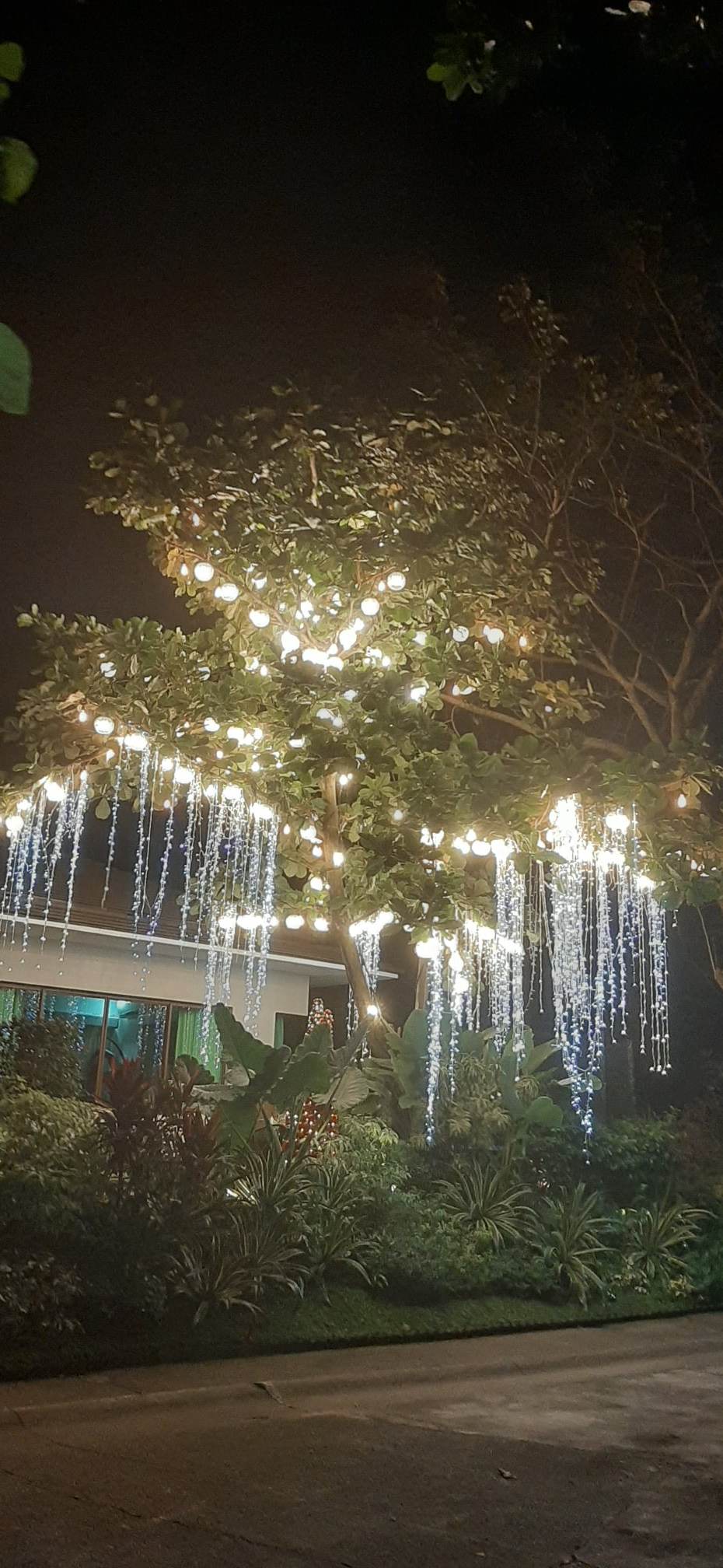 WELL-LIT garden brings cheer to the Pajelas family and friends.