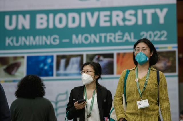 Beijing tries to save summit nature accord