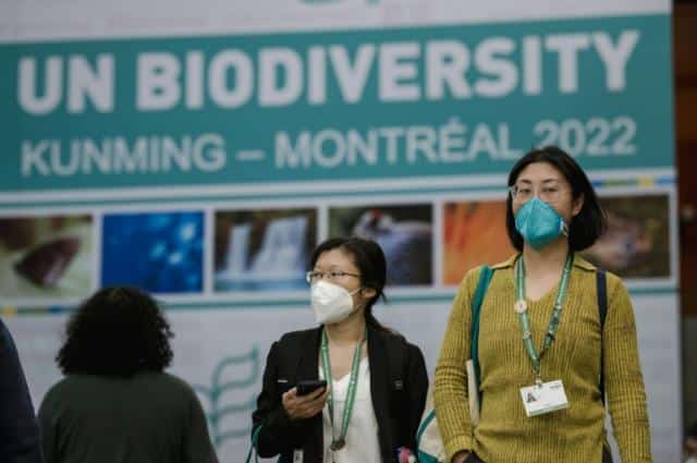 Beijing tries to save summit nature accord