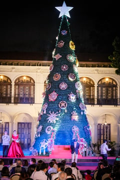 Marcos lights up Malacañang Christmas tree