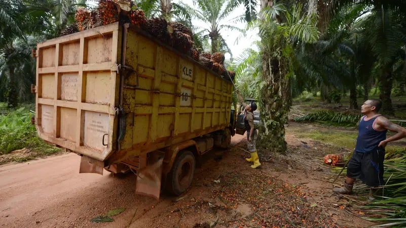 EU agrees ban on imports driving deforestation