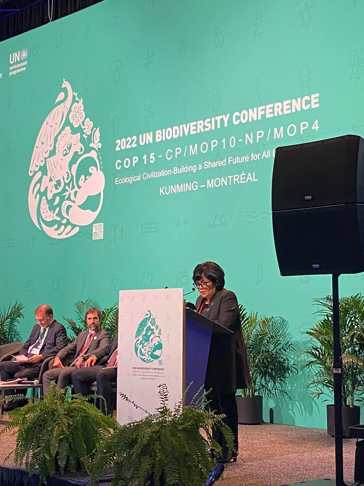 DENR preserves, protects millions of hectares of natural land