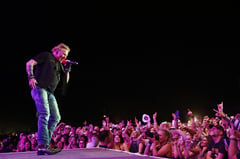Guns N’ Roses sues online gun shop for appropriating name