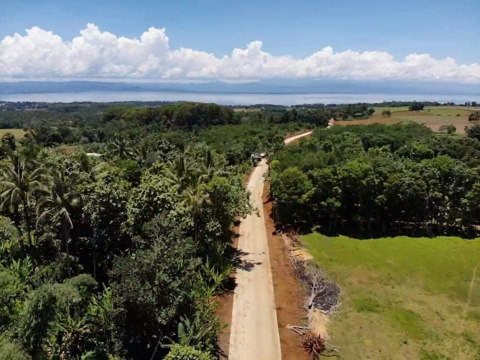 Swift Marawi rehab sought