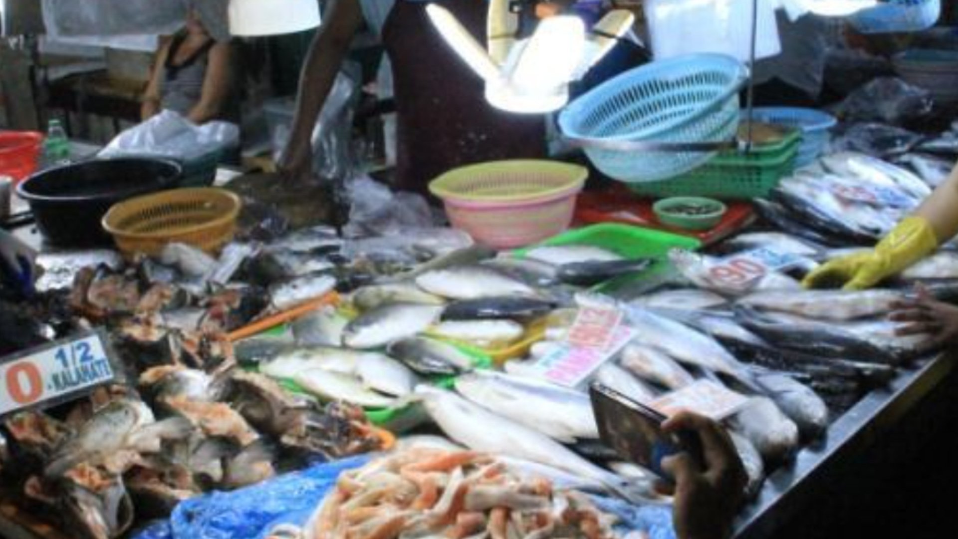 Imported fish sale ban under review