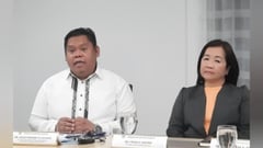 More Japanese firms plan expansion