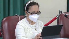 Bill allows dual citizens to hold public office