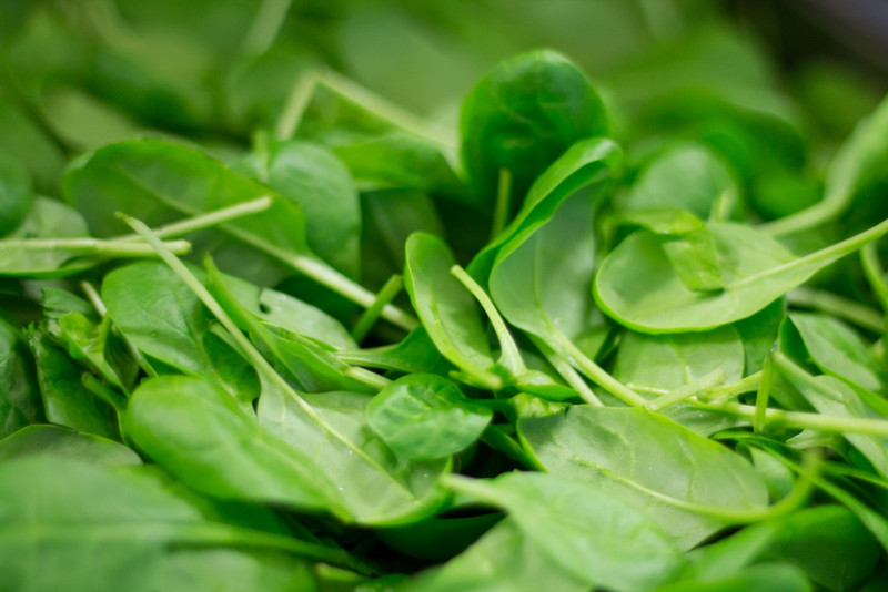 ‘Contaminated’ spinach causes hallucinations
