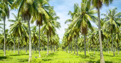 PBBM greenlights agrarian debt moratorium extension