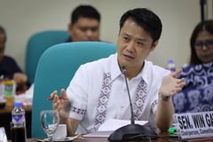 DOE, ERC urged to probe joint venture woes to solve Negros power outages