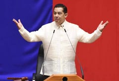 No truth to Speaker’s 2028 plans — solon