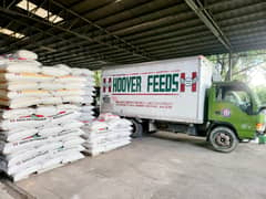 Hoover Feeds: Partner in growing livestock business